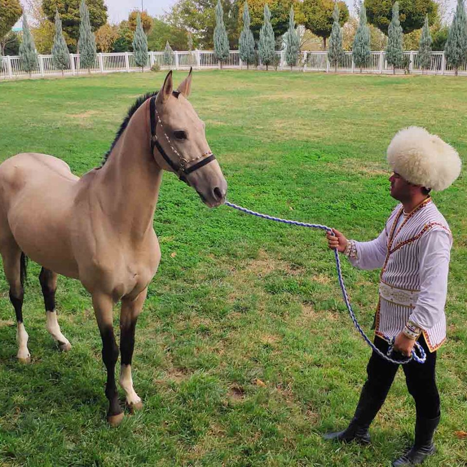 turkmenistan-group-trip-8